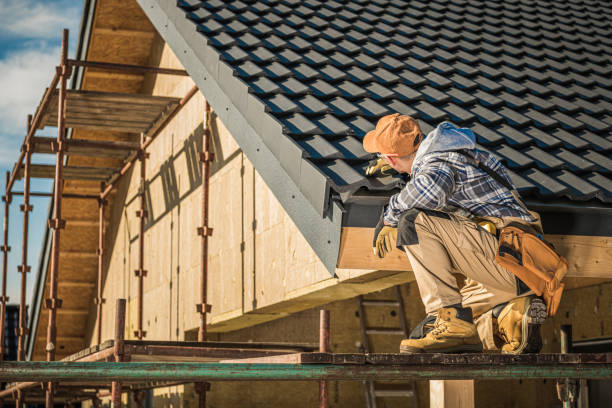 Best Sheet Metal Roofing  in Mackinac Island, MI