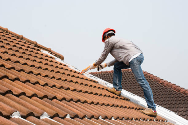 Best Roof Coating and Sealing  in Mackinac Island, MI