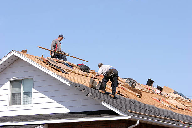 Best Roof Insulation Installation  in Mackinac Island, MI